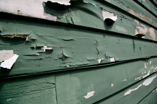 Best Fascia and Soffit Installation  in Pumpkin Center, NC