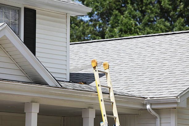 Affordable siding repair and maintenance services in Pumpkin Center, NC